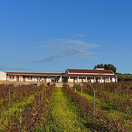 Turismo Rural Pedremoura Guest House Vila Ruiva  Exterior foto